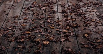 emma-frances-logan-146511-unsplash