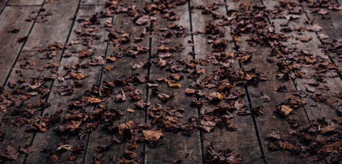 emma-frances-logan-146511-unsplash