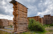 Air-drying timber  stacks - wood seasoning in lumber industry