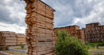 Air-drying timber  stacks - wood seasoning in lumber industry
