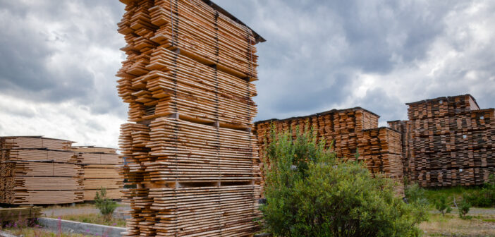 Air-drying timber  stacks - wood seasoning in lumber industry